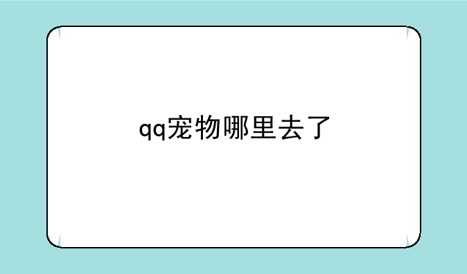 qq宠物哪里去了